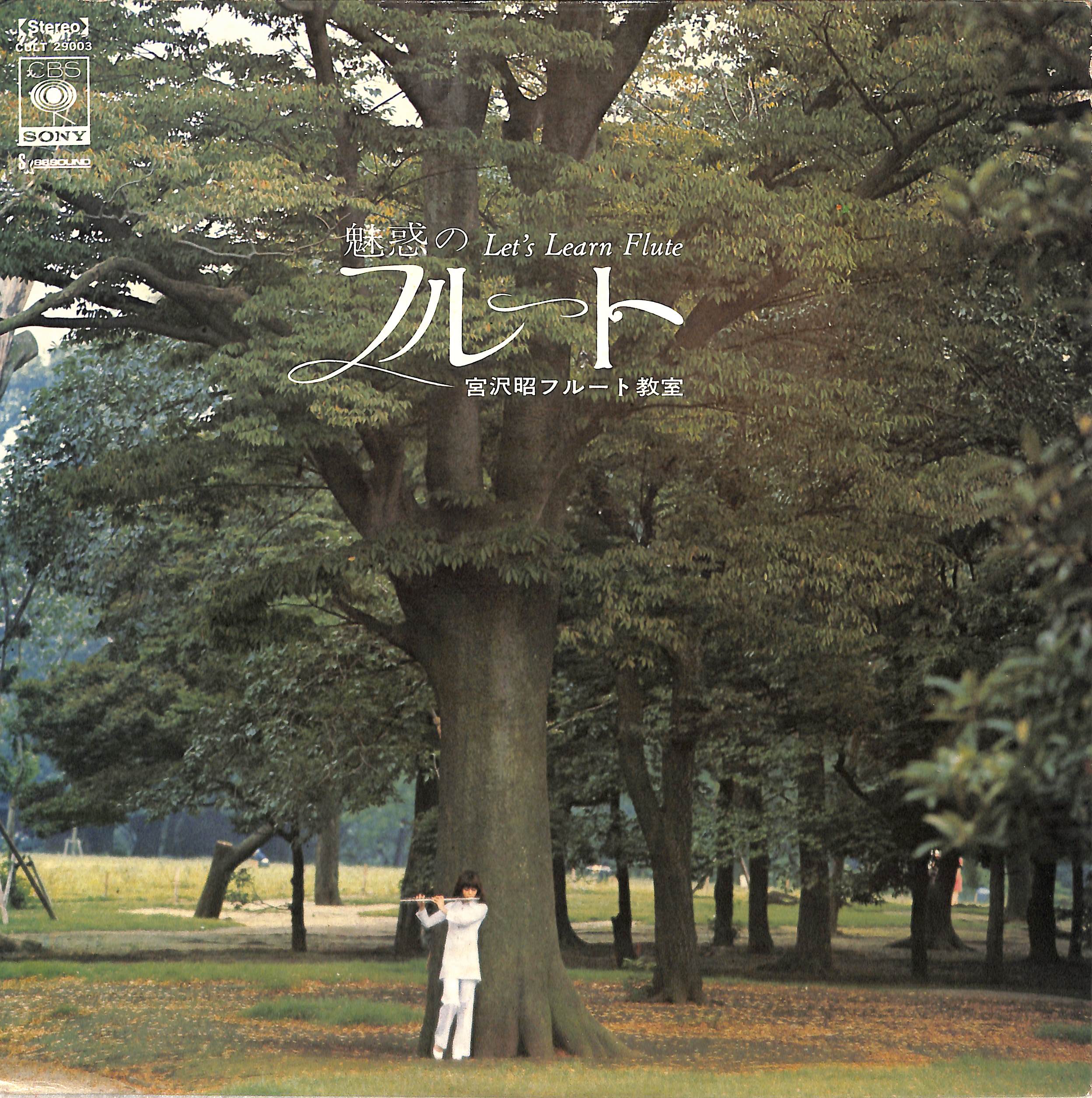 魅惑のフルート - フルート教室 = Let