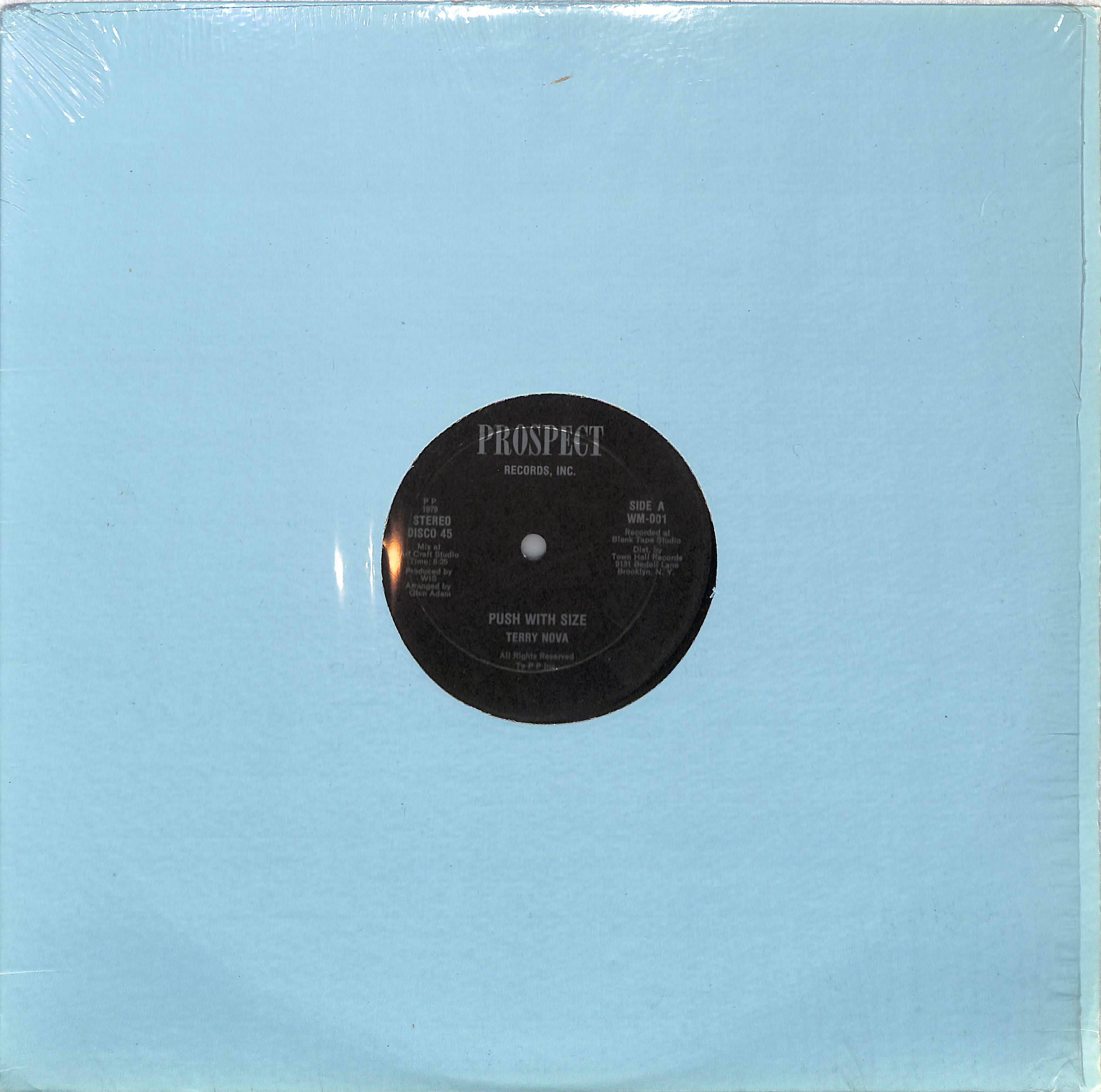 TERRY NOVA (12inch) - Push With SizeTERRY