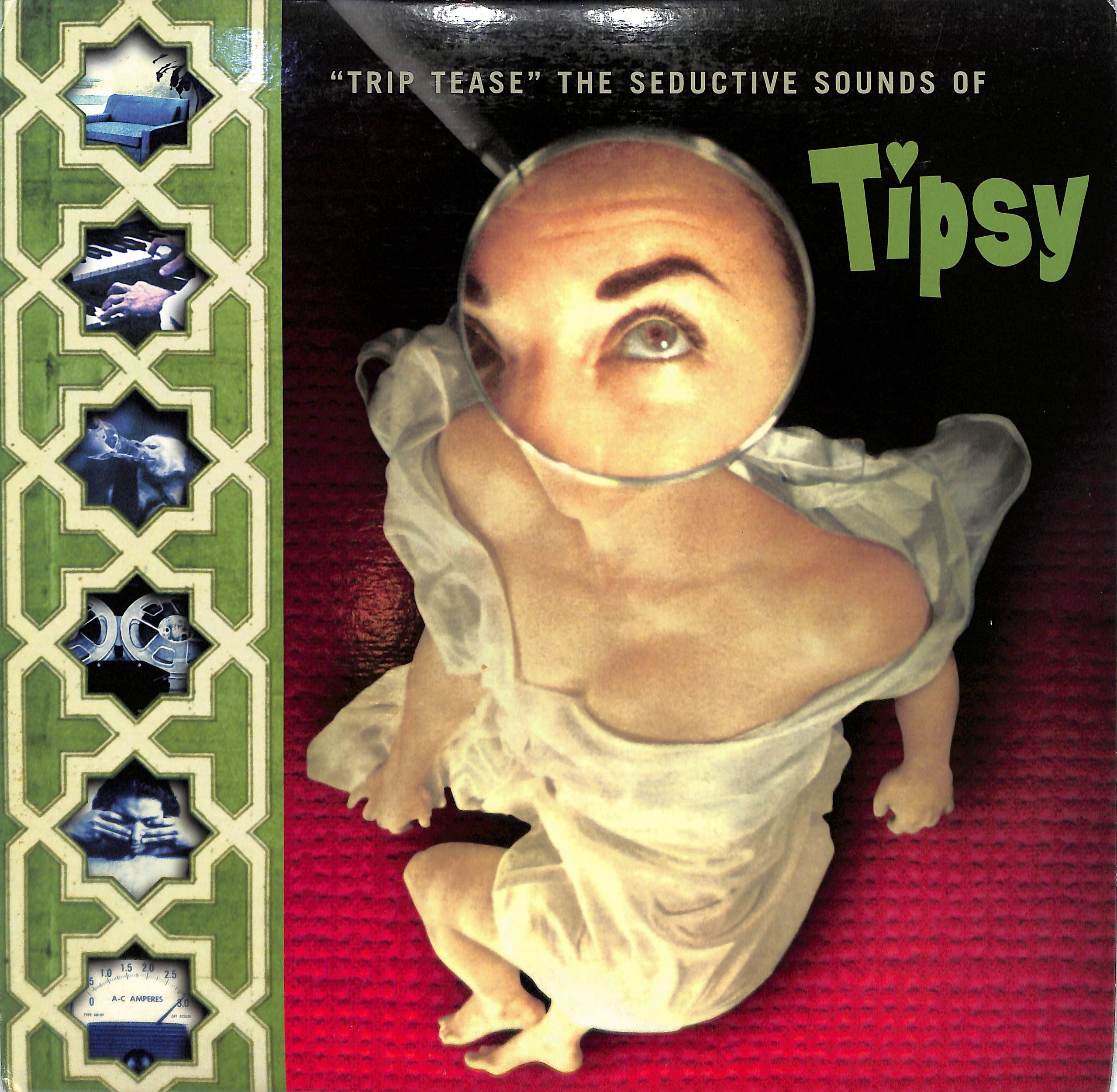 Trip Tease - The Seductive Sounds of Tipsy by Tipsy