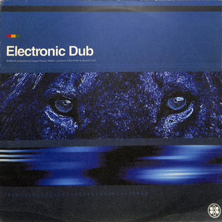 Electronic Dub