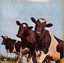 Atom Heart Mother