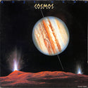 Cosmos = コスモス