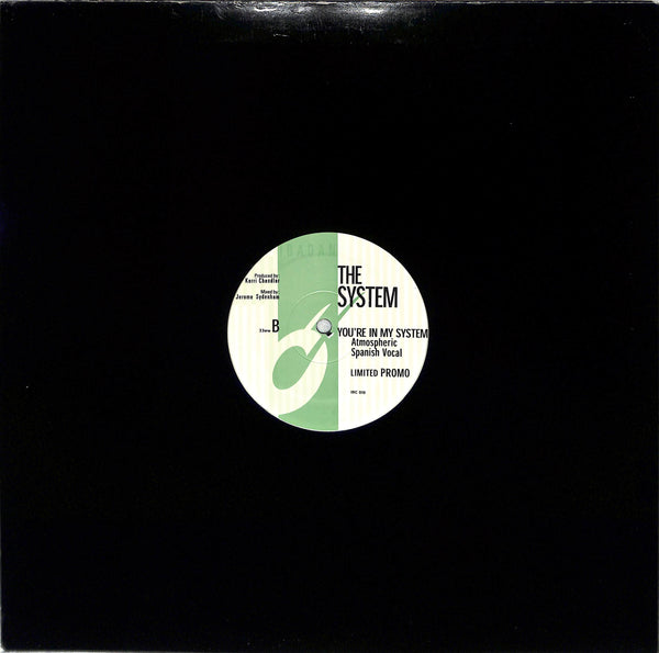 You're In My System (Kerri Chandler Remixes)