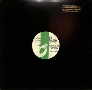 You're In My System (Kerri Chandler Remixes)