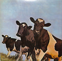 Atom Heart Mother = 原子心母