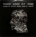 Voices Inside My Head