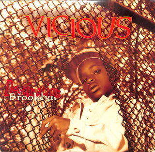 Destination Brooklyn