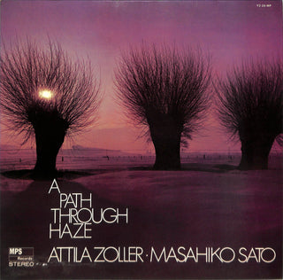 A Path Through Haze