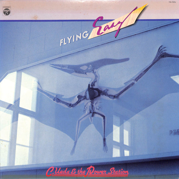 Flying Easy