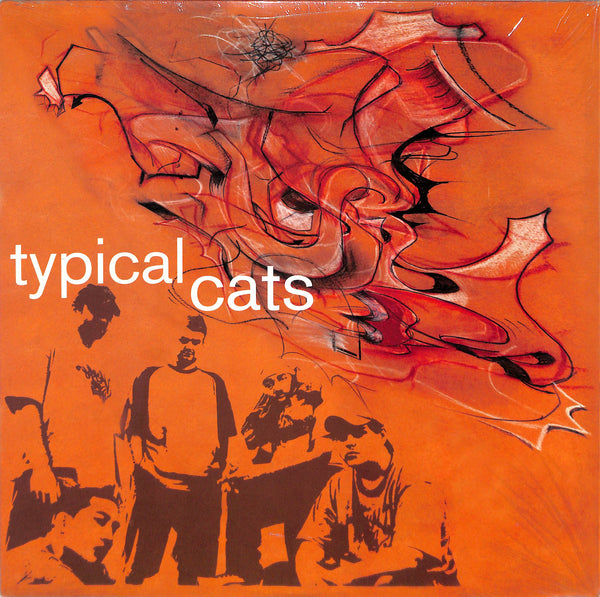 Typical Cats