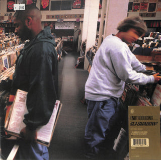 Endtroducing.....