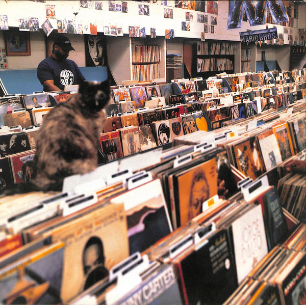 Endtroducing.....