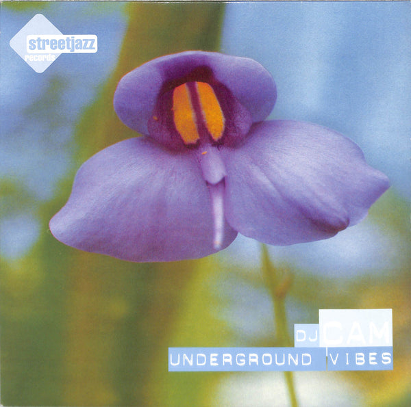 Underground Vibes
