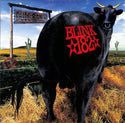 Dude Ranch