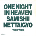 One Night In Heaven