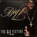 The Big Picture (1974 - 1999)