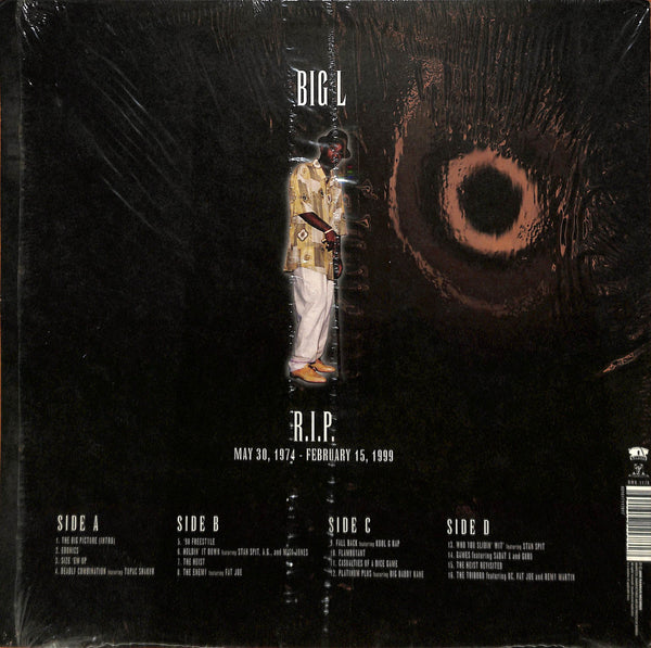 The Big Picture (1974 - 1999)