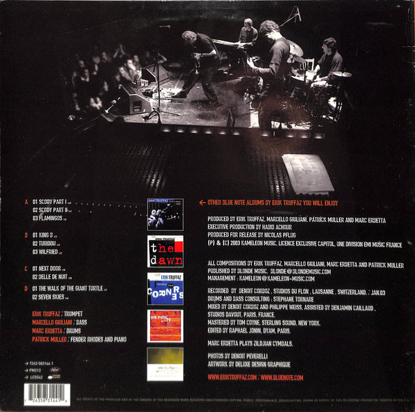 The Walk Of The Giant Turtle