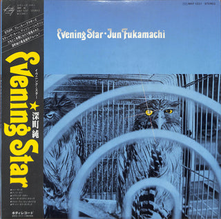 Evening Star