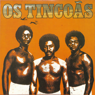 Os Tincoãs