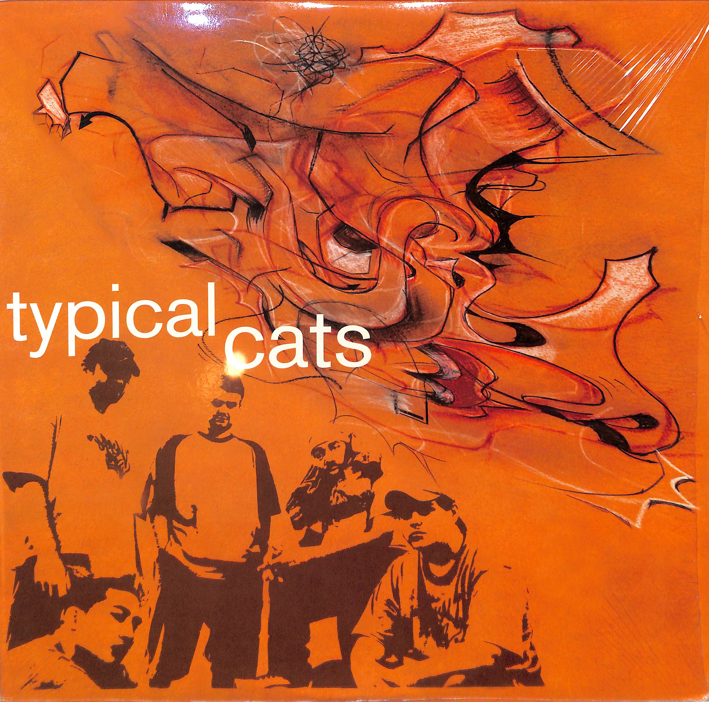 【US盤】Typical Cats / Typical Cats (1LP) Typical Cats by Typical Cats | PosseCut.com