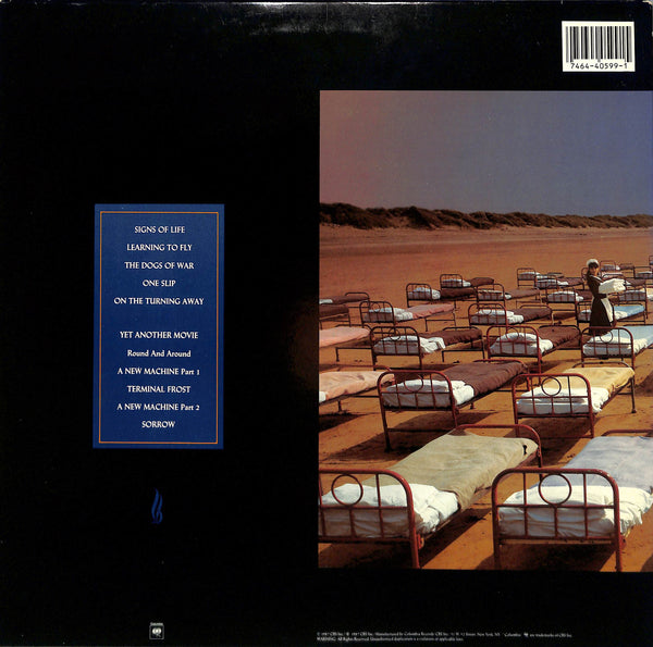 A Momentary Lapse Of Reason